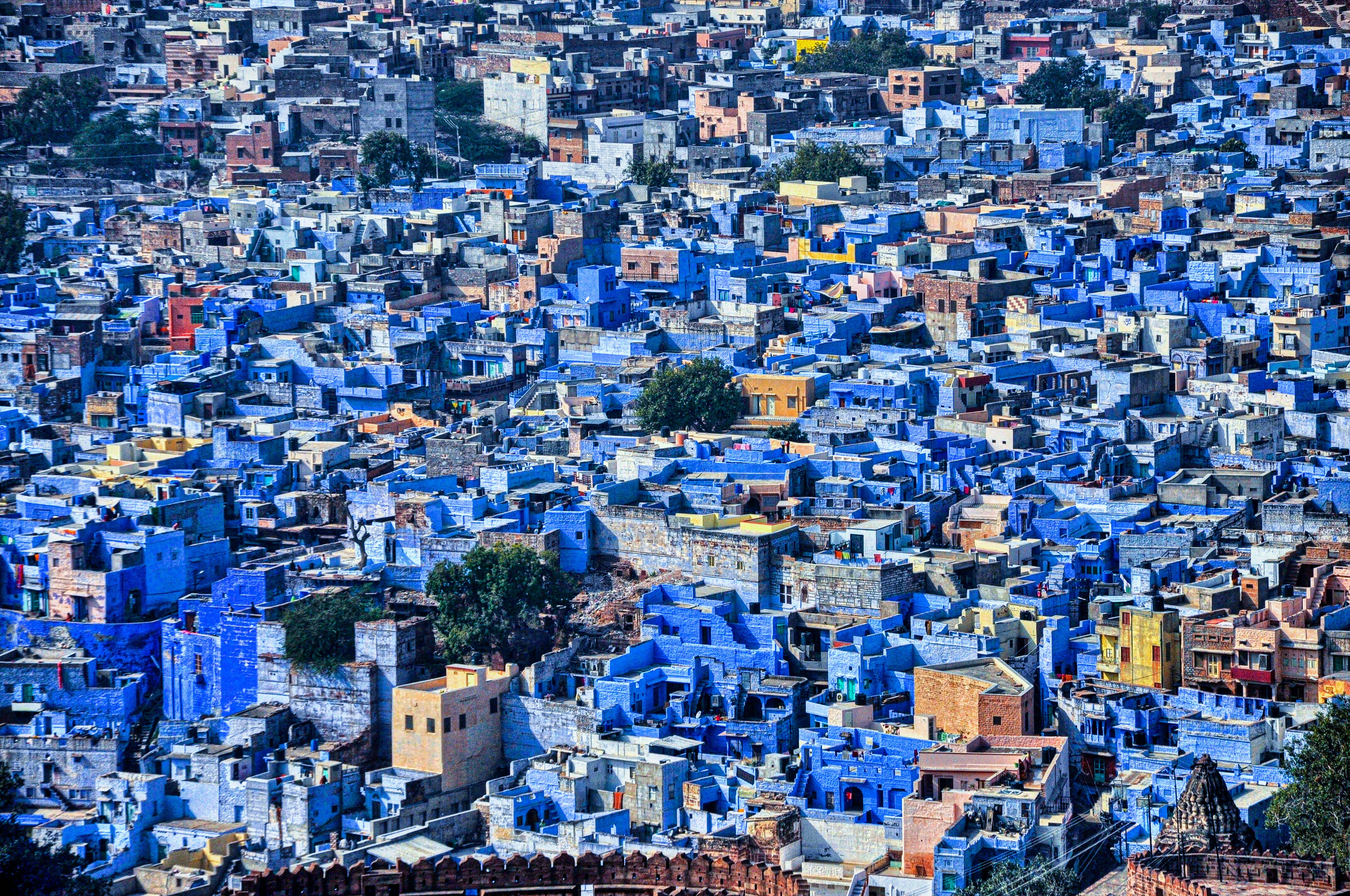 Jodhpur